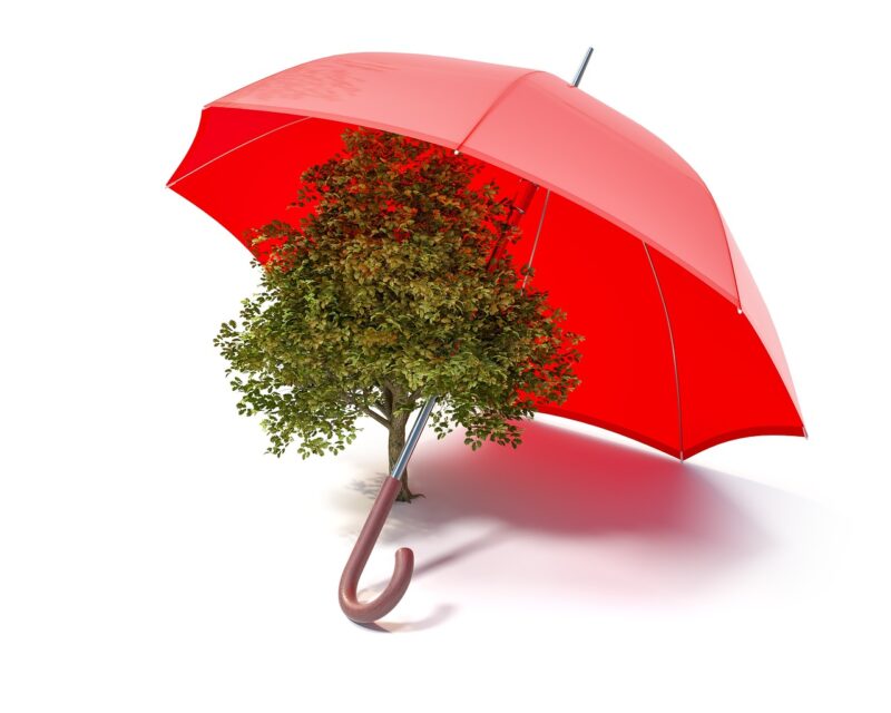 Embracing a Sustainable Lifestyle: Tips for an Eco-Friendly Home