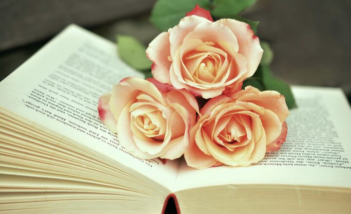 Literary Legends: The Must-Read Books from the Last Decade