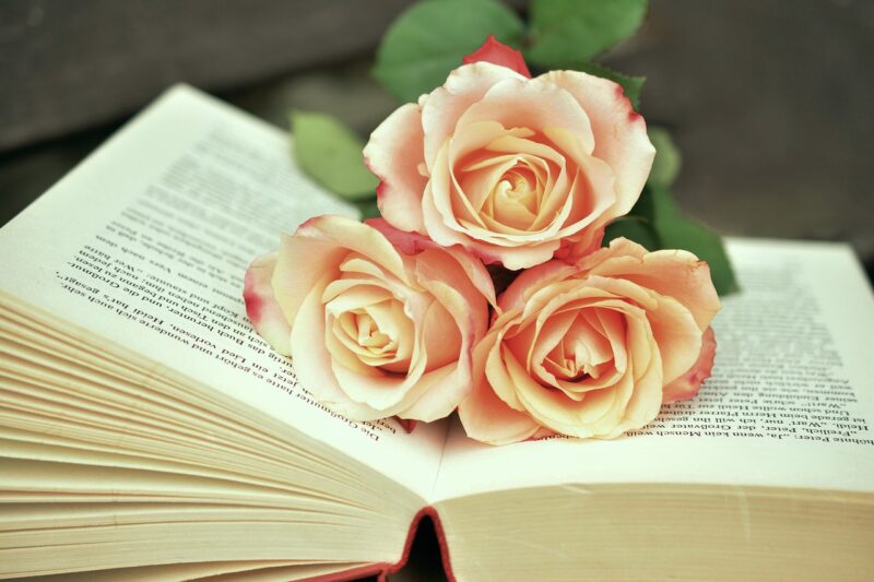 Literary Legends: The Must-Read Books from the Last Decade Literary Legends: The Must-Read Books from the Last Decade