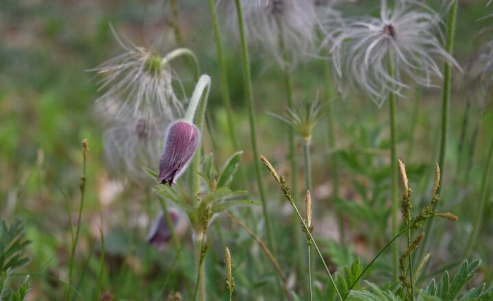 10 Fascinating Facts That Will Make You Question Everything You Thought You Knew