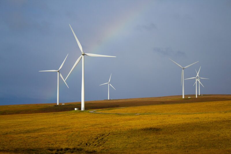 A Guide to Sustainable Living: Steps to Reduce Your Carbon Footprint
