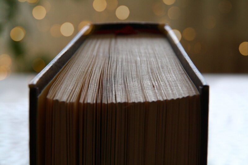 The Science Behind Why Humans Are Drawn to Mysterious Stories
