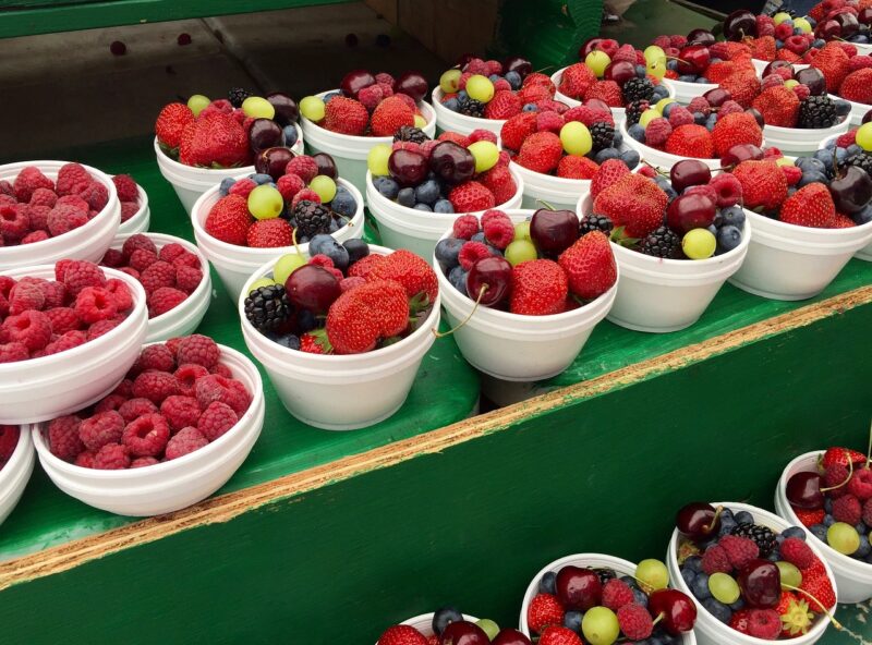 Eating Green: The Importance of Sustainability in Our Diet