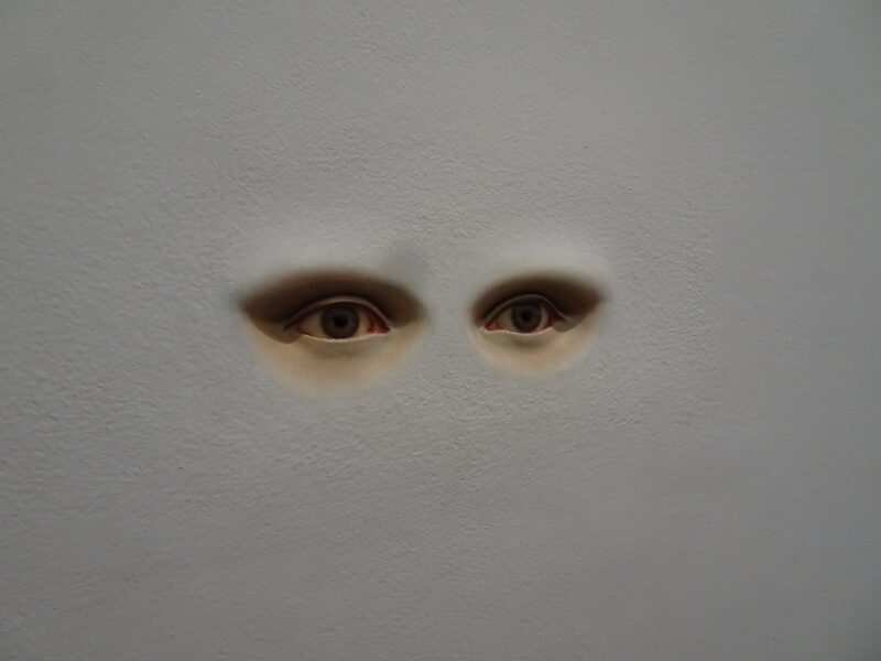 Weird Phenomena: The Strangest Occurrences You’ll Ever Hear About